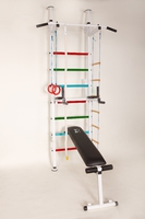 Шведская стенка Чемпион Днепр