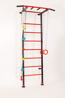 Детская шведская стенка Atletikus