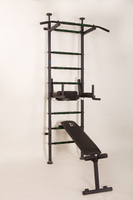 Шведская стенка Энерджи Про