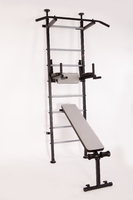 Шведская стенка Powerful GRAY