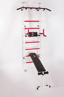 Шведская стенка усиленная Юнайтед № 5 с креплением для груши