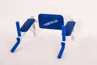 Брусья настенные "Тритон" от завода производителя