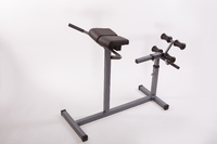 Гиперэкстензия , скамья для пресса и спины