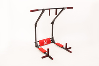 Комплекс настенный Турник-Брусья 6 в 1