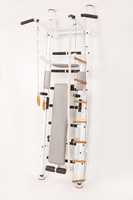 Шведская стенка с переставным турником Демос Steel