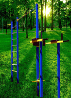 Уличный спортивный комплекс "Nevada"+ бесплатная доставка