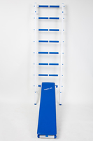 Шведская стенка "Вертикаль 1" + бесплатная доставка